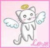 angel kitty